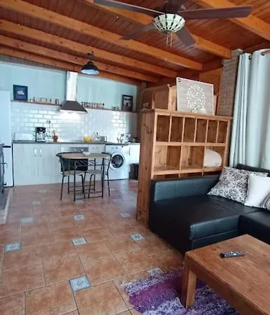 Apartment Loft Atico Terraza *